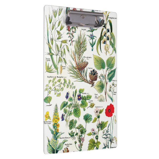 Carpeta De Pinza Ilustraciones botánicos - plantas de Larousse (Derecha)