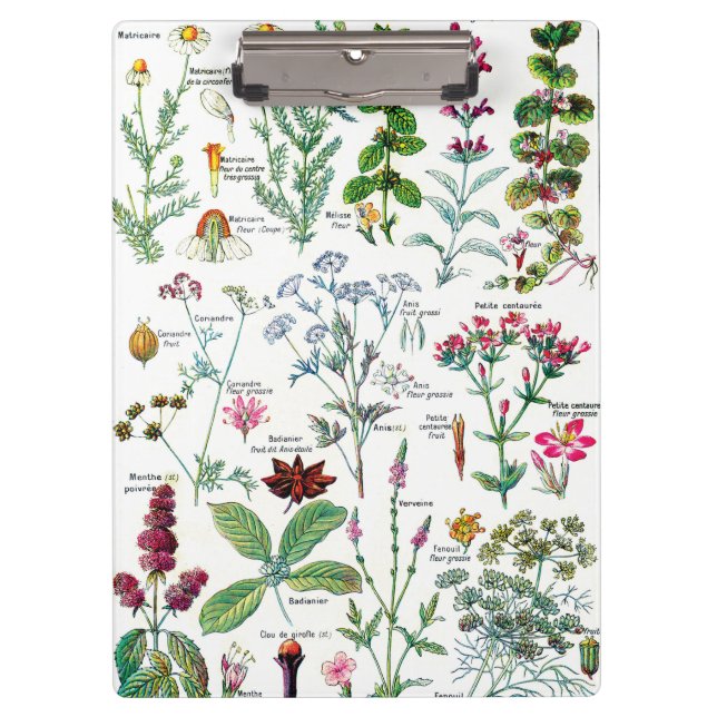 Carpeta De Pinza Ilustraciones botánicos - plantas de Larousse (Anverso)