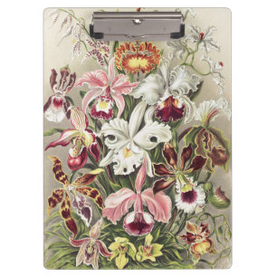 Carpeta De Pinza Impresión botánica vintage de orquídea de Ernst Ha