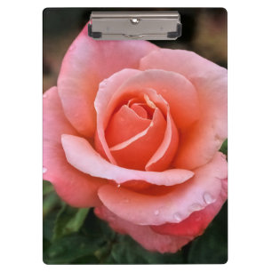 Carpeta De Pinza Impresión de arte botánico Rosa romántico