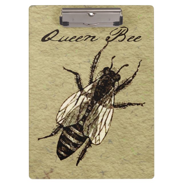 Carpeta De Pinza Inscripción de Bug de Vida Silvestre Queen Bee (Anverso)