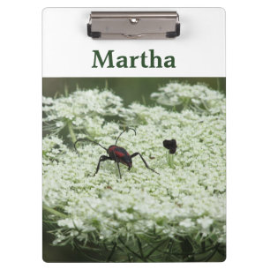 Carpeta De Pinza Insectos en la flor de los viejos