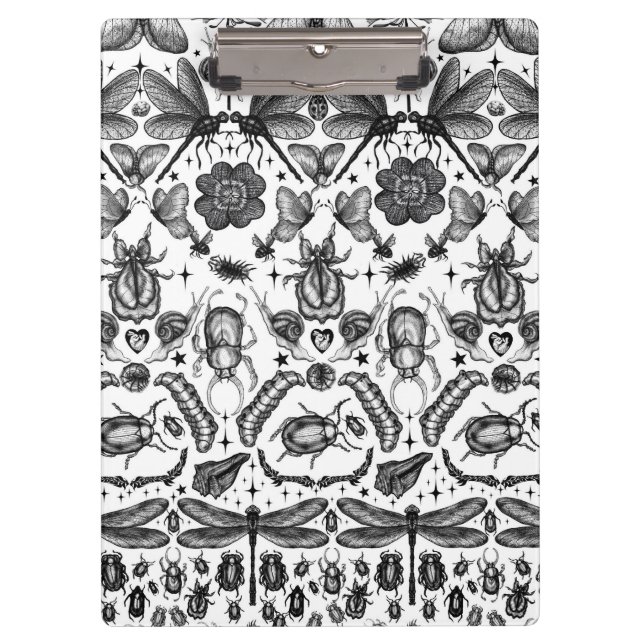 Carpeta De Pinza Insectos y bichos (Anverso)