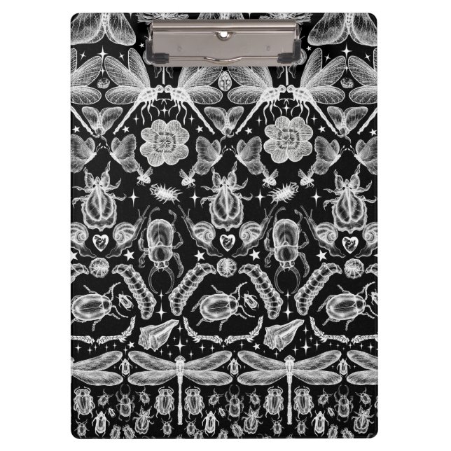 Carpeta De Pinza Insectos y fallos (Anverso)