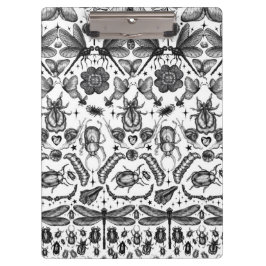 Carpeta De Pinza Insectos y fallos