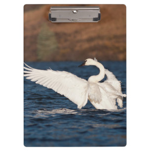 Carpeta De Pinza Intercambio de Flapping