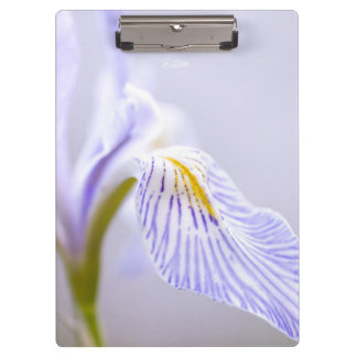 Carpeta De Pinza Iris salvaje suave