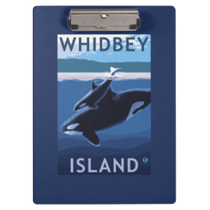 Carpeta De Pinza Isla, WashingtonOrca y becerro de Whidbey