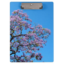 Carpeta De Pinza Jacaranda