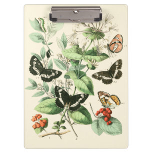 Carpeta De Pinza Jardín de mariposas y flores