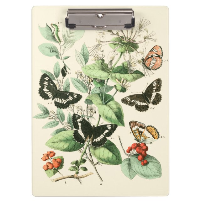 Carpeta De Pinza Jardín de mariposas y flores (Anverso)