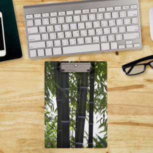 Carpeta De Pinza Jardín de plantas de bambú negro fotográfico