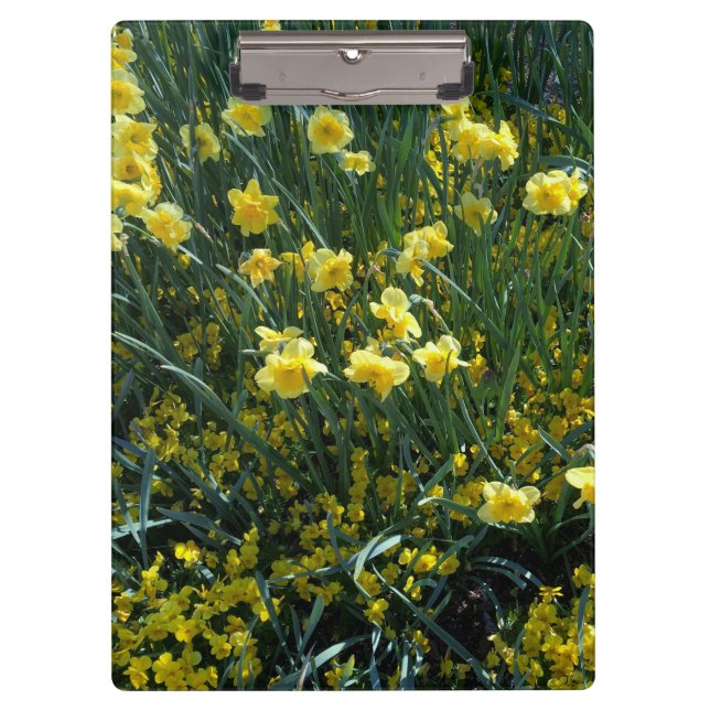Carpeta De Pinza Jardín lleno de daffodils amarillos (Anverso)