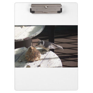 Carpeta De Pinza Jay gris y tablero del blanco de Bell
