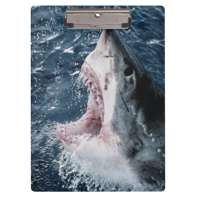 Carpeta De Pinza Jefe del Gran Tiburón Blanco (Anverso)