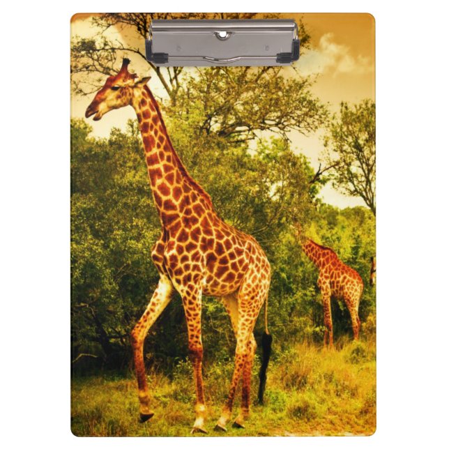 Carpeta De Pinza Jirafas surafricanas (Anverso)