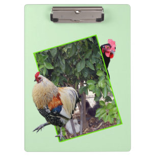 Carpeta De Pinza **"Juego Sucio: Gallinas Jugando al Escondite en 3