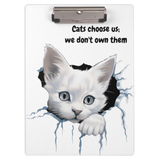 Carpeta De Pinza Junta de examen para los niños