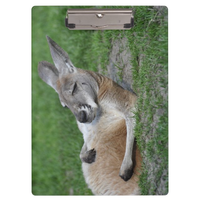 Carpeta De Pinza Kangaroo (Anverso)