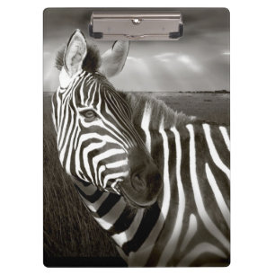 Carpeta De Pinza Kenia. Blanco y negro de cebra y llanura.
