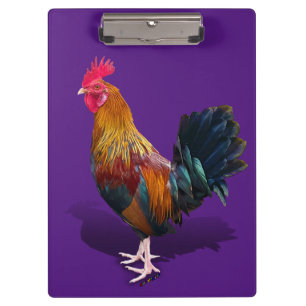Carpeta De Pinza Key West - Gypsy Rooster