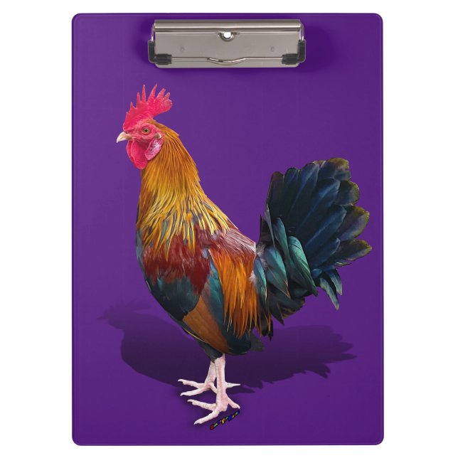 Carpeta De Pinza Key West - Gypsy Rooster (Anverso)