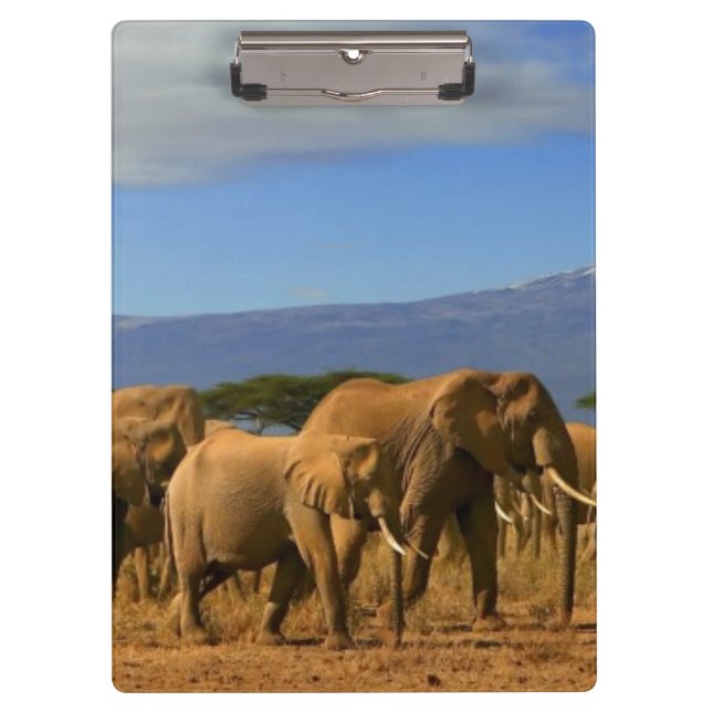 Carpeta De Pinza Kilimanjaro y elefantes (Anverso)
