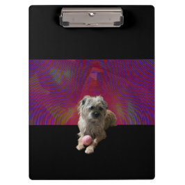 Carpeta De Pinza Kiser