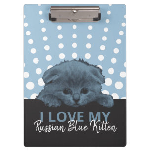 Carpeta De Pinza Kitten azul ruso
