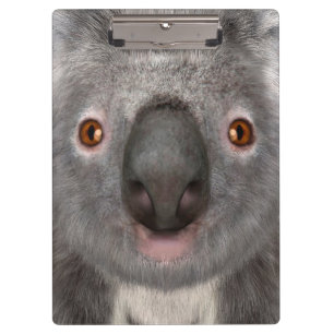 Carpeta De Pinza Koala Bear