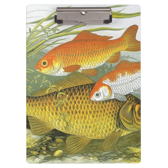 Carpeta De Pinza Koi Fish, pez dorado, vida marina acuática (Anverso)