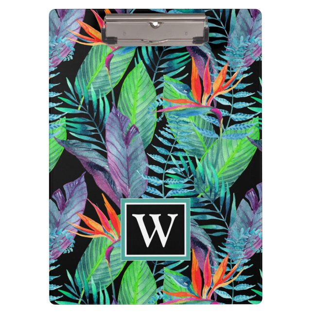 Carpeta De Pinza La ave del paraíso de la acuarela el | añade su (Anverso)