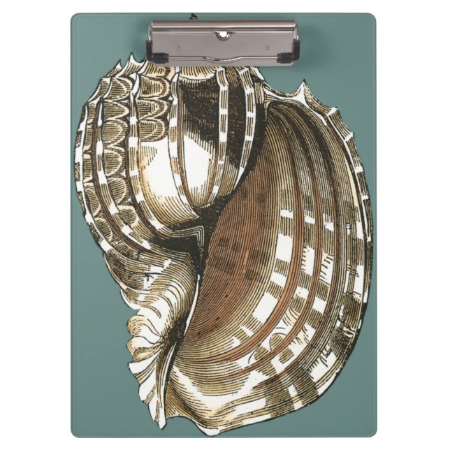 Carpeta De Pinza La joya del océano (Anverso)