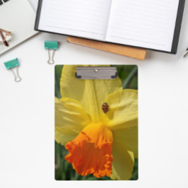 Carpeta De Pinza Ladybug en amarillo Daffodil Floral