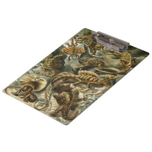 Carpeta De Pinza Lagartos por Ernst Haeckel Lacertilia Animal Vinta