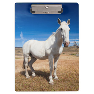 Carpeta De Pinza Laguna Azul, paisaje con caballos