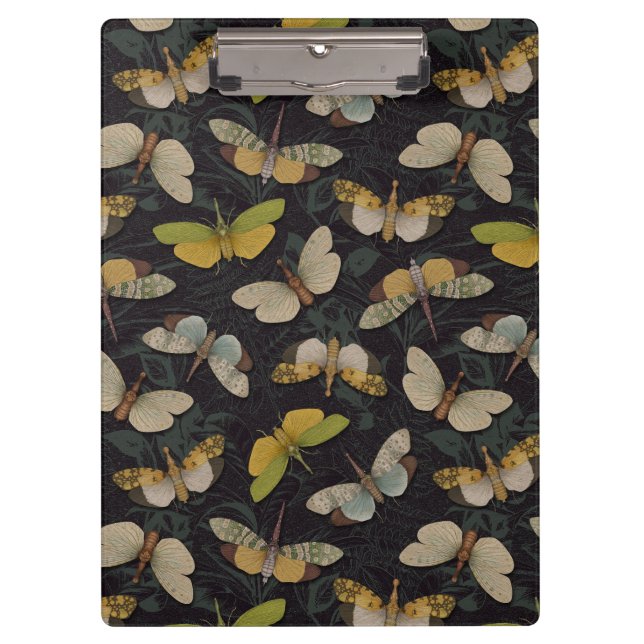 Carpeta De Pinza Lanternflies - Pyrops Candelaria y otros planthopp (Anverso)