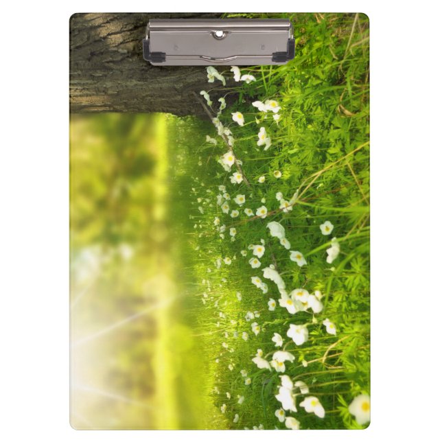 Carpeta De Pinza Las alegrías de la primavera (Anverso)