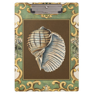Carpeta De Pinza Las cáscaras de la pequeña sirena