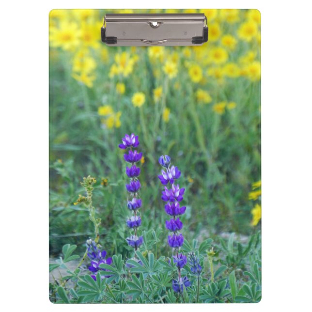 Carpeta De Pinza Lavanda y girasol amarillo (Anverso)
