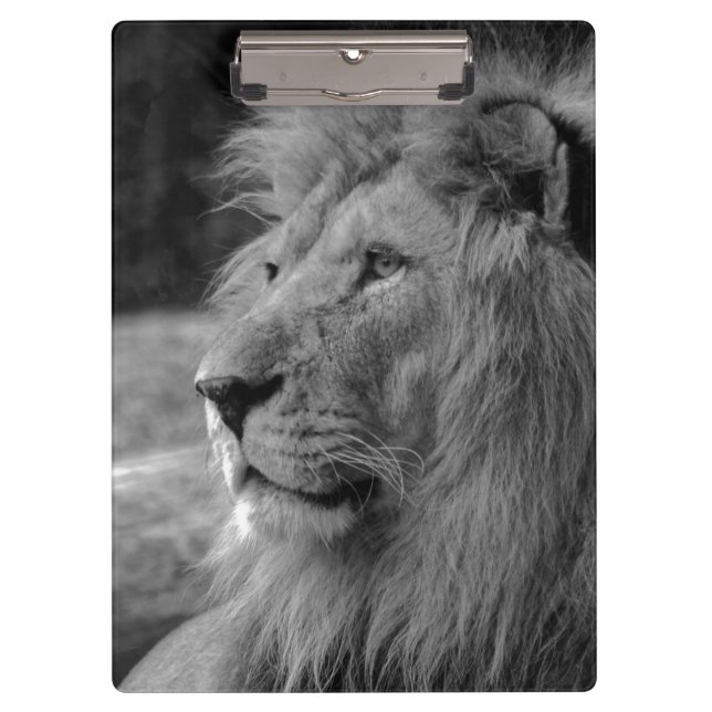 Carpeta De Pinza León blanco y negro - Animal salvaje (Anverso)