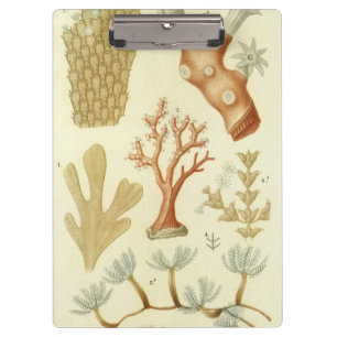 Carpeta De Pinza Libro de texto de ciencias biología, Animales de c