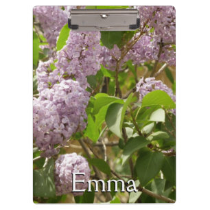 Carpeta De Pinza Lilac Bush hermosas flores de primavera morada
