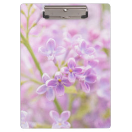 Carpeta De Pinza Lilac Flowers Mist