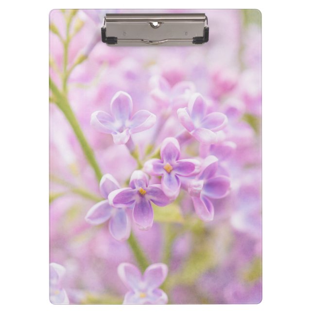 Carpeta De Pinza Lilac Flowers Mist (Anverso)