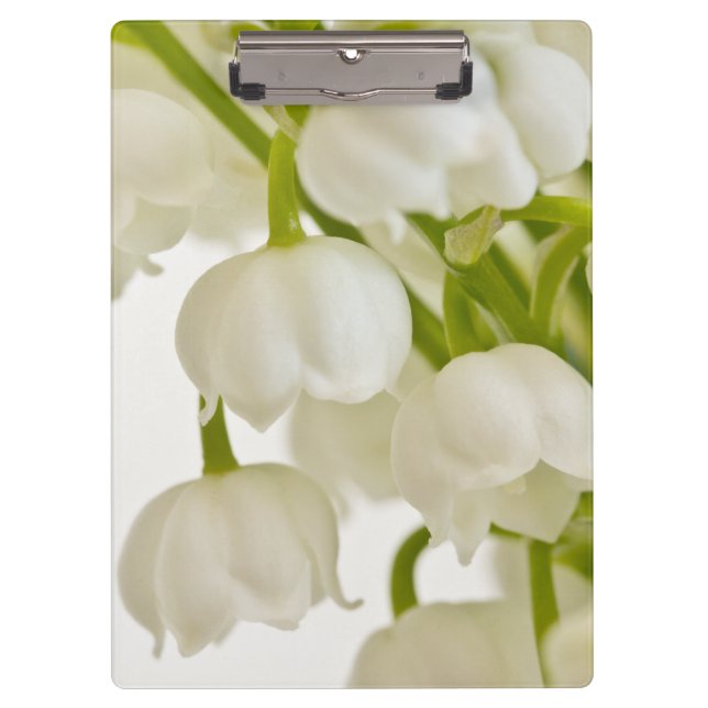 Carpeta De Pinza Lilies blancos (Anverso)