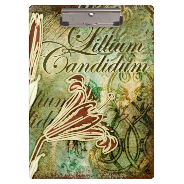 Carpeta De Pinza Lillium Candidum (Anverso)
