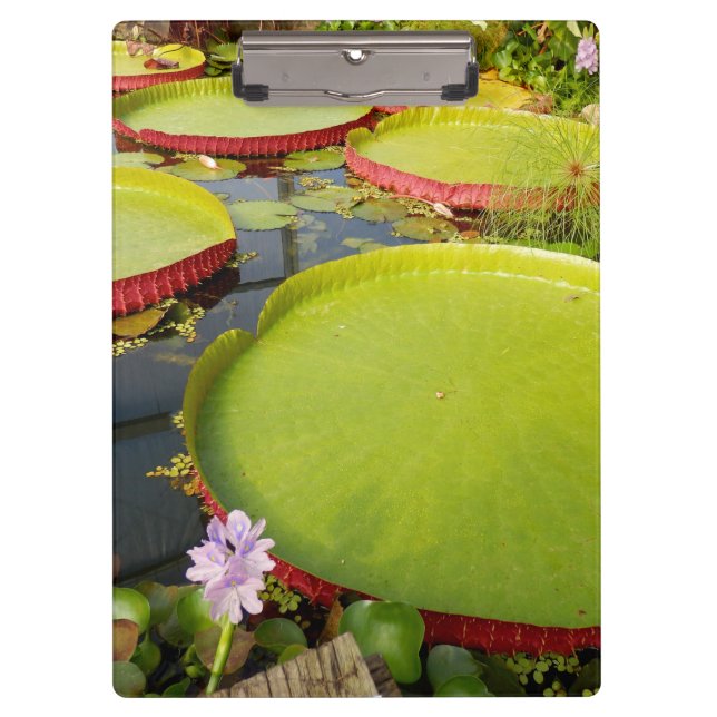 Carpeta De Pinza Lily Pond Clipboard (Anverso)