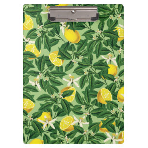 Carpeta De Pinza Limonada V2