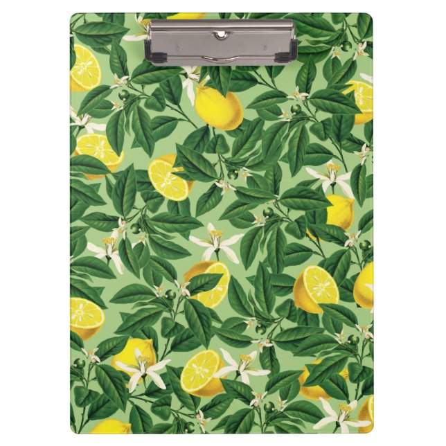 Carpeta De Pinza Limonada V2 (Anverso)